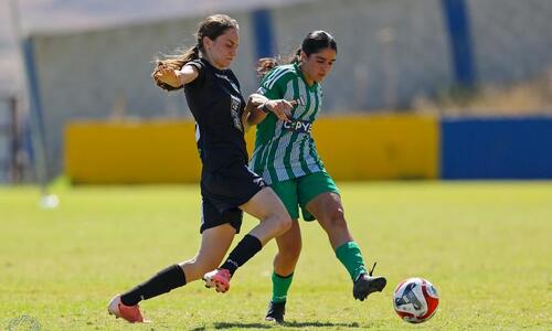 Apollon Ladies - Ομόνοια απευθείας από τη Cytavision (πρόγραμμα 3ης αγωνιστικής) thumb