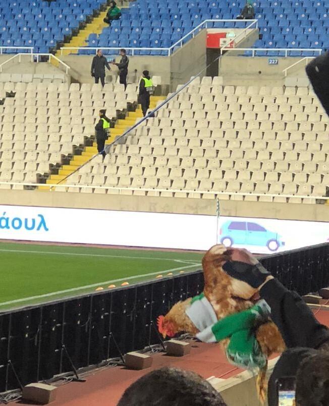 Ομόνοια – ΑΠΟΕΛ: Καταγγελία από το Κόμμα για Ζώα για κοτόπουλο στην κερκίδα thumb