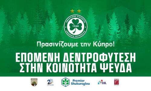 Eνημέρωση για τη δεντροφύτευση thumb