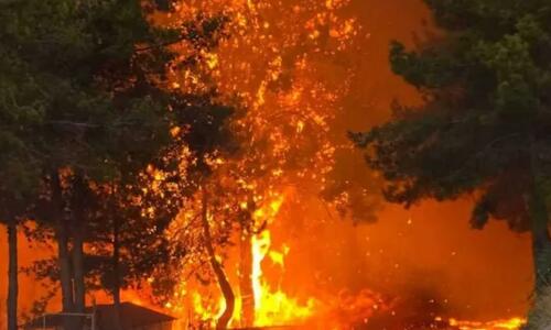 Τραγωδία: Εντοπίστηκε νεκρό πρόσωπο στην περιοχή των πυρκαγιών thumb