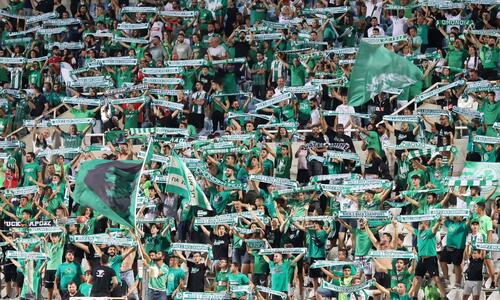 Green Fanatics: 